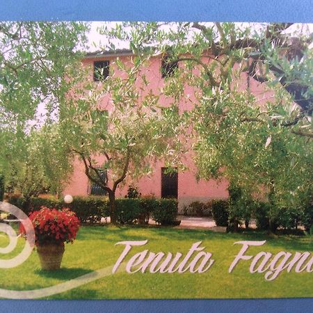 Tenuta Fagnani Lucca Room photo