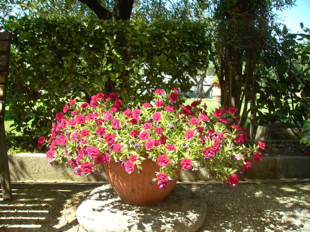 Tenuta Fagnani Villa Lucca Room photo