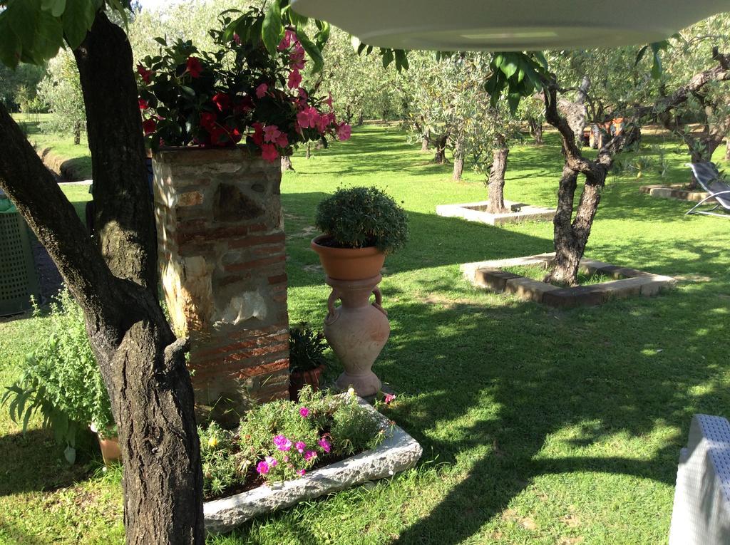 Tenuta Fagnani Lucca Exterior photo